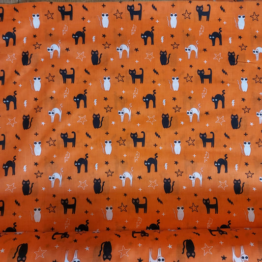 Halloween Cats Polycotton Fabric